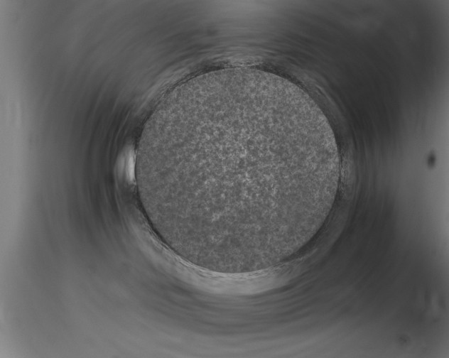 X0000115280046200912111236