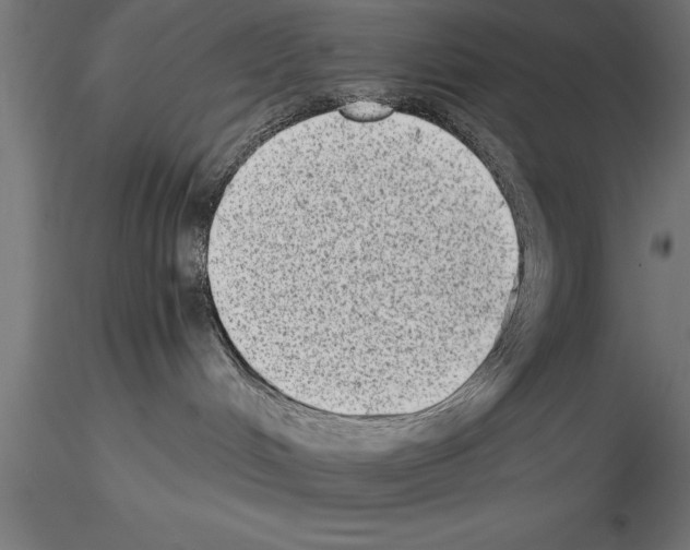 X0000115280048200912111236