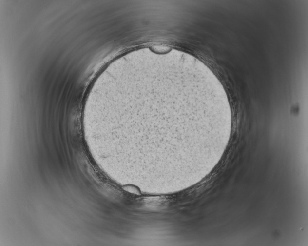 X0000115280050200912111235