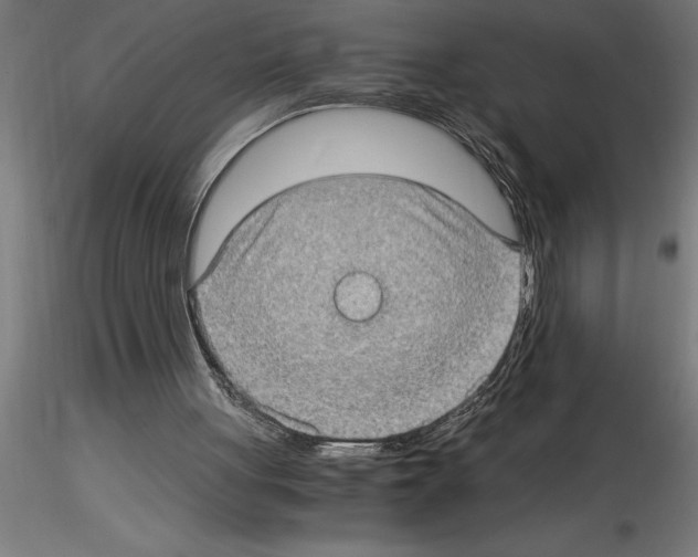 X0000115280051200912111235