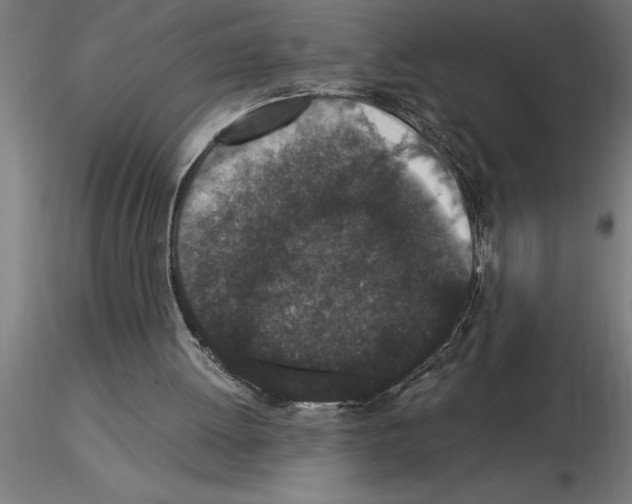 X0000115280052200912111235