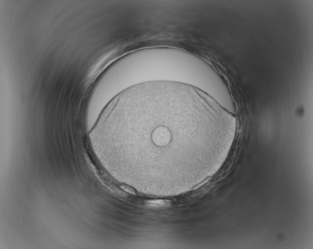 X0000115280053200912111235