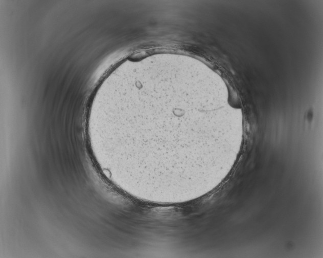 X0000115280054200912111235