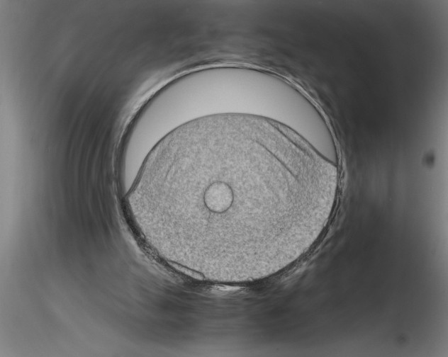 X0000115280055200912111235