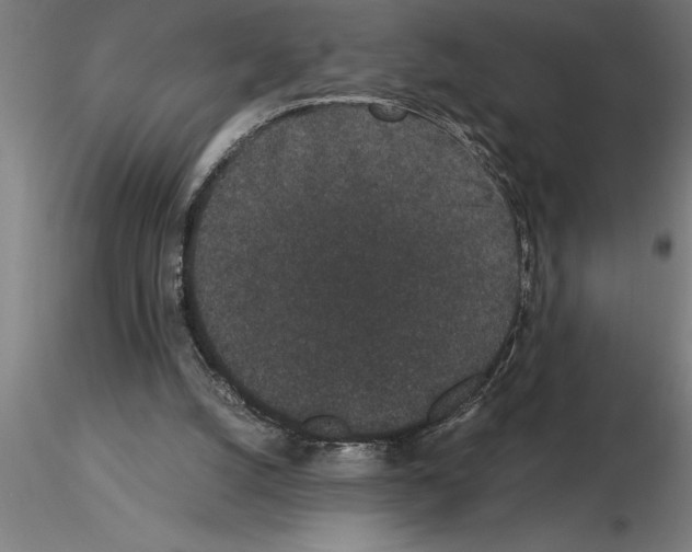 X0000115280056200912111235