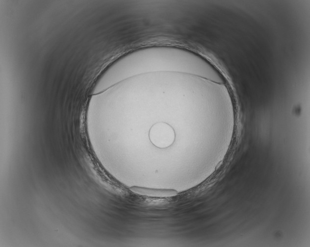 X0000115280057200912111235