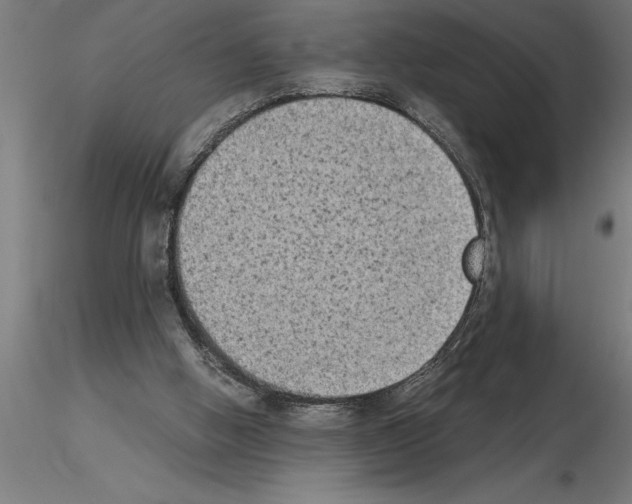 X0000115280058200912111235