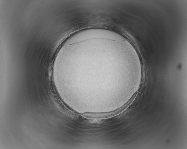 X0000115280059200912111235