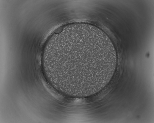 X0000115280060200912111235