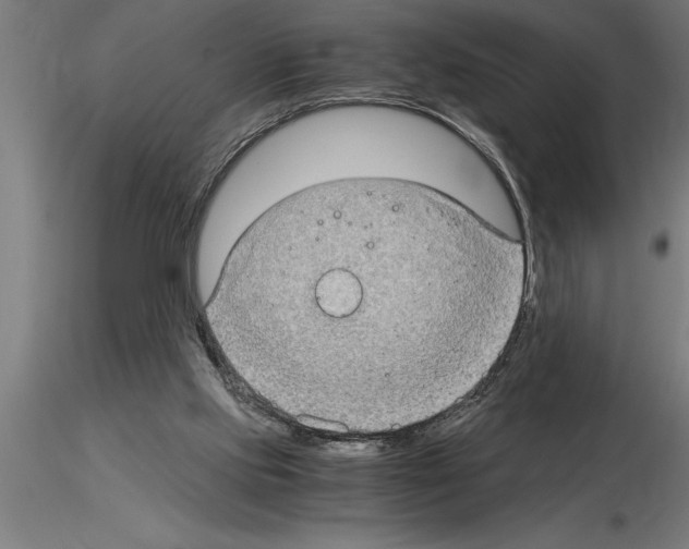 X0000115280061200912111235