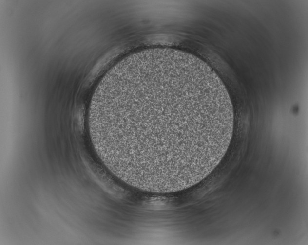 X0000115280064200912111236