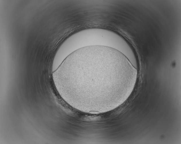 X0000115280065200912111236