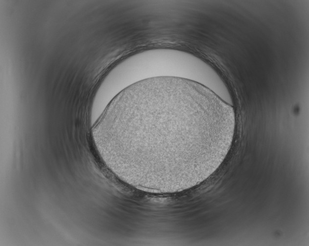 X0000115280071200912111236