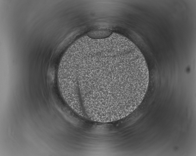 X0000115280072200912111236