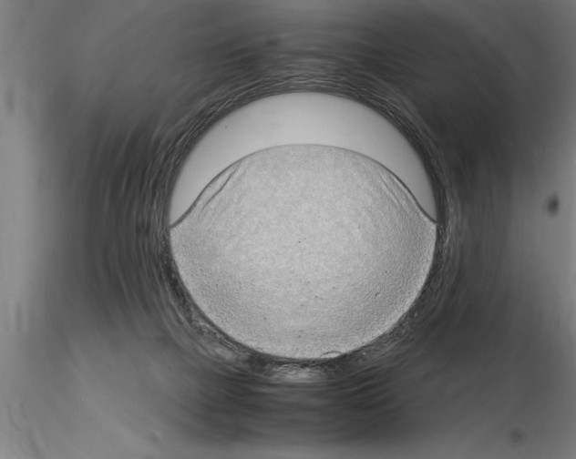 X0000115280073200912111236