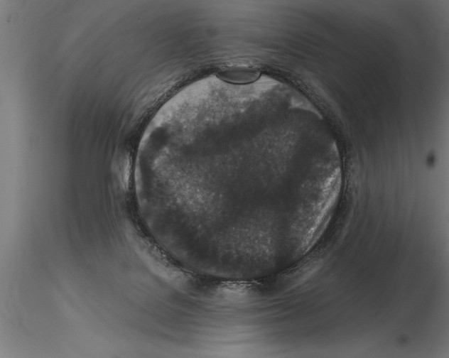 X0000115280076200912111236