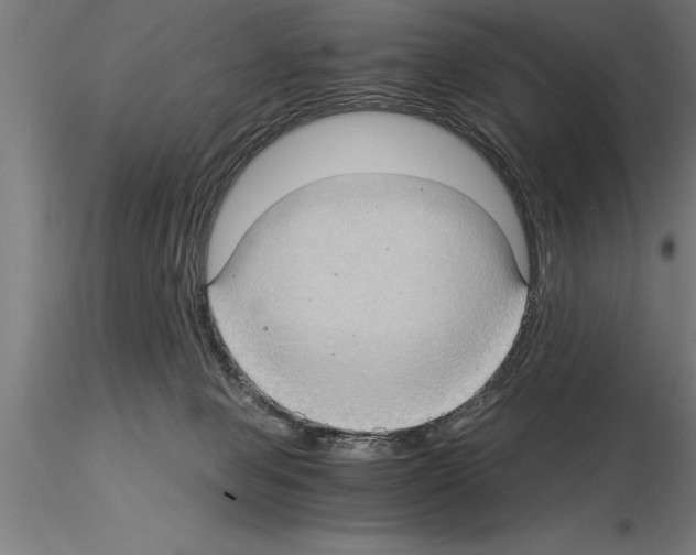 X0000115280077200912111236