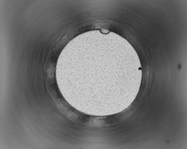 X0000115280078200912111236