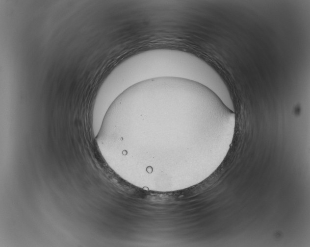 X0000115280079200912111236