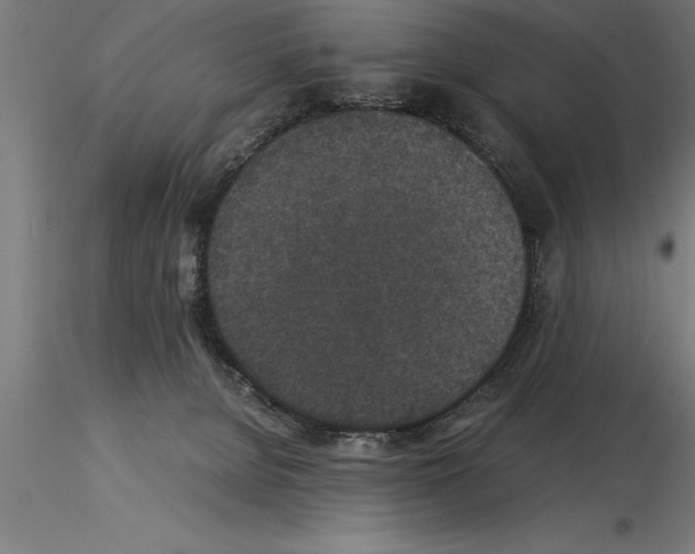 X0000115280080200912111236