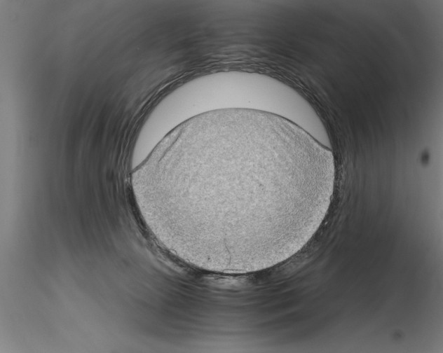 X0000115280081200912111236