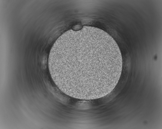 X0000115280082200912111236