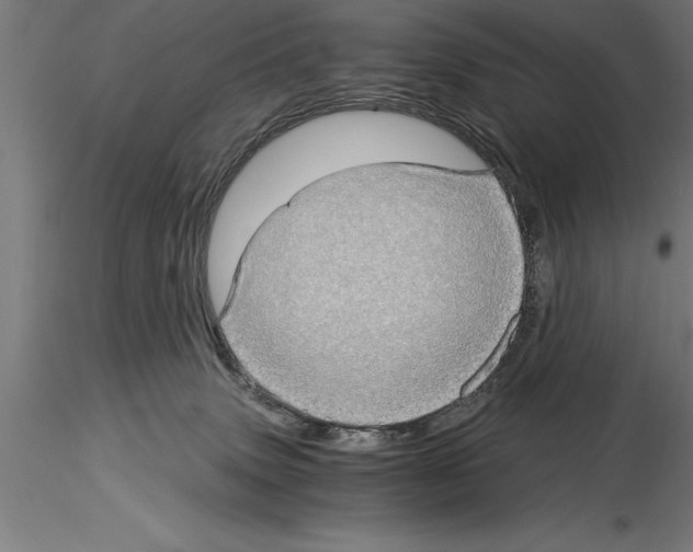 X0000115280083200912111236