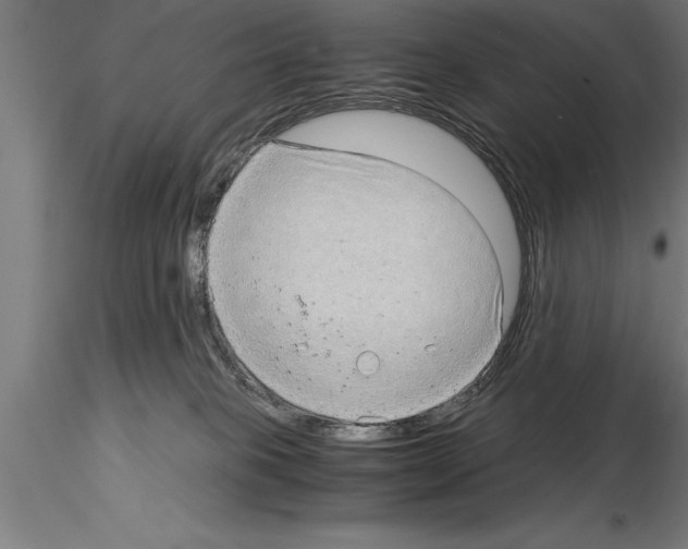 X0000115280085200912111236