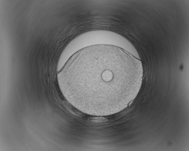 X0000115280087200912111236