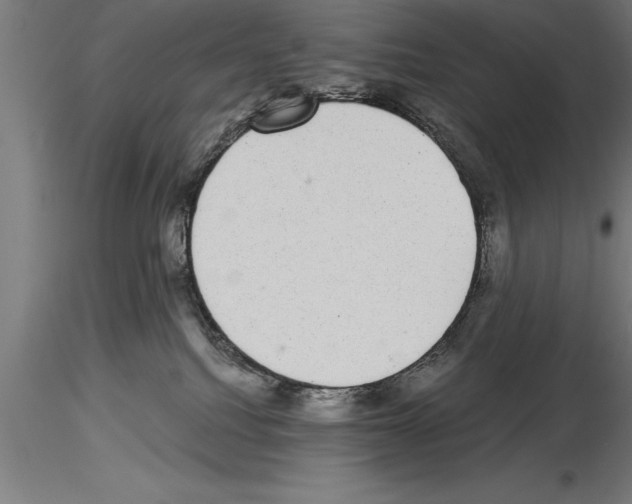 X0000115280088200912111236