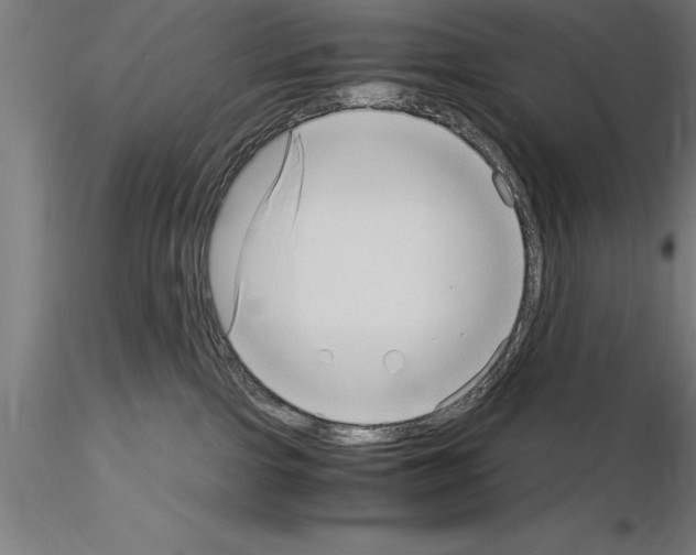 X0000115280091200912111236