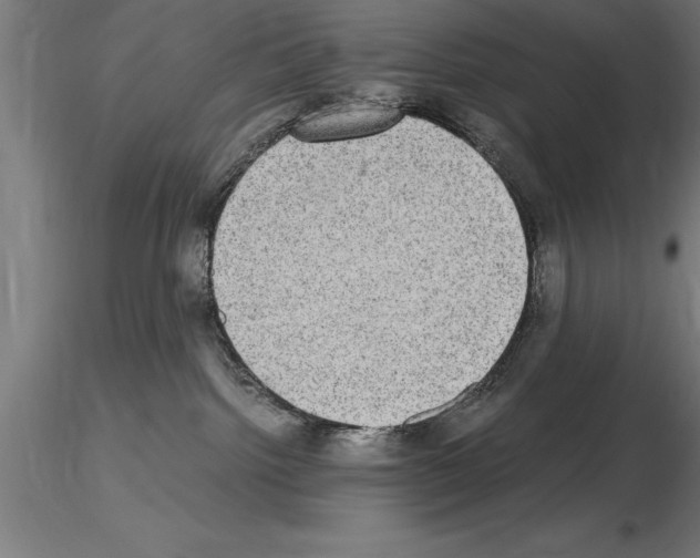 X0000115280092200912111236