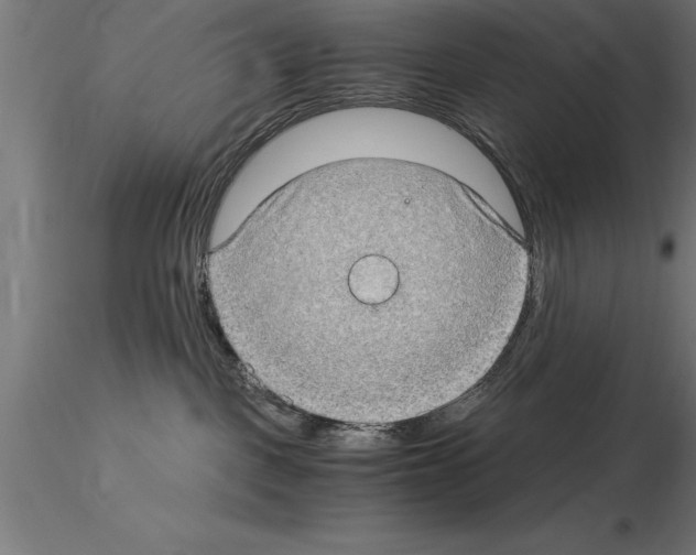 X0000115280093200912111236