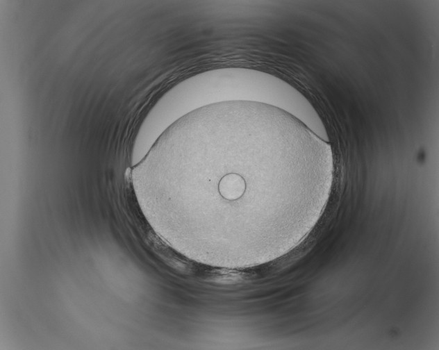 X0000115280095200912111236