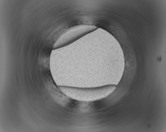 X0000115280096200912111236