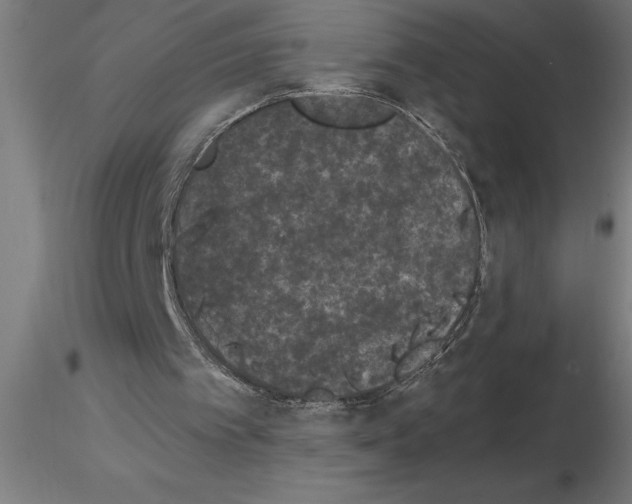 X0000115280097200912111235