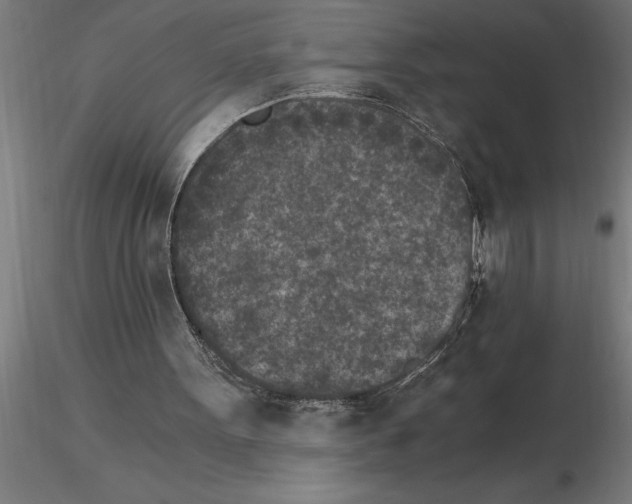 X0000115280099200912111235