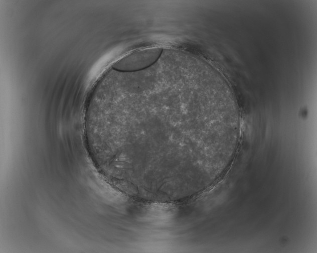 X0000115280101200912111235