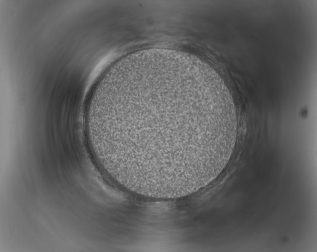 X0000115280102200912111235