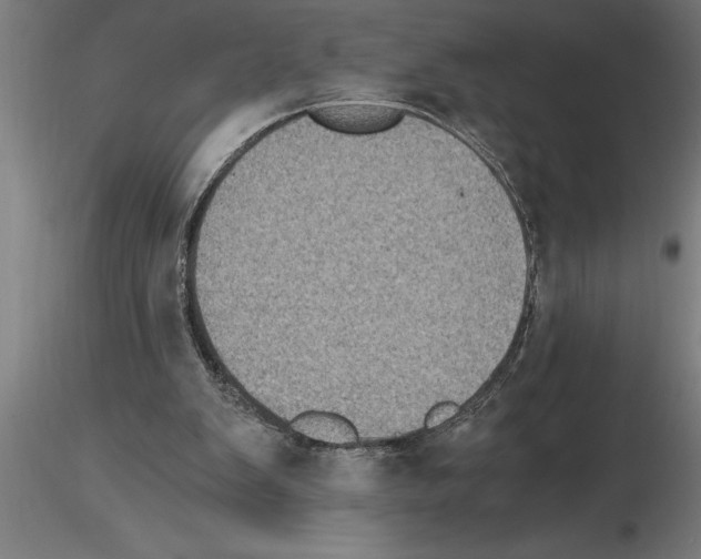 X0000115280103200912111235