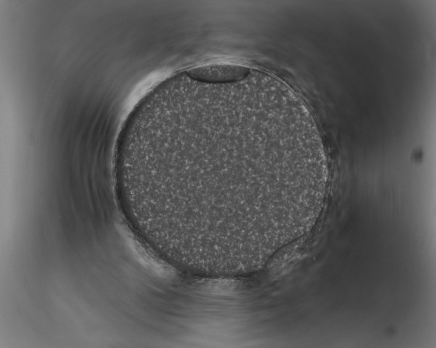 X0000115280104200912111235