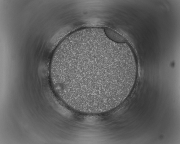 X0000115280105200912111235