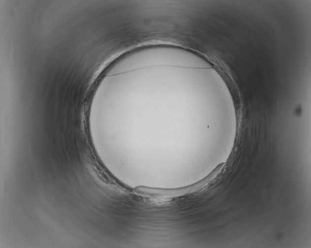 X0000115280108200912111235