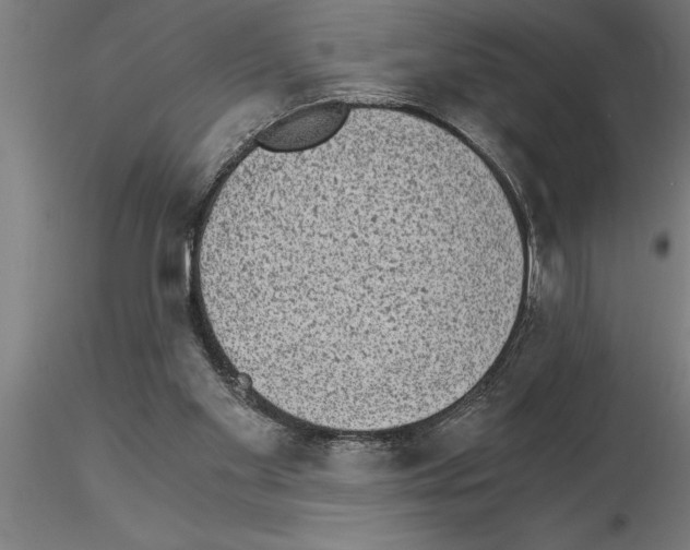 X0000115280109200912111235