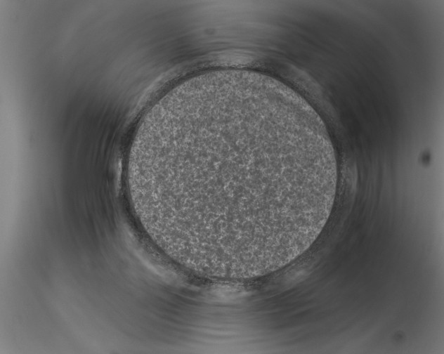 X0000115280110200912111235