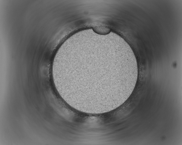 X0000115280111200912111235