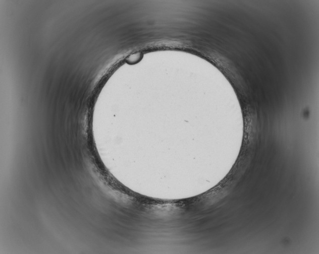 X0000115280112200912111235