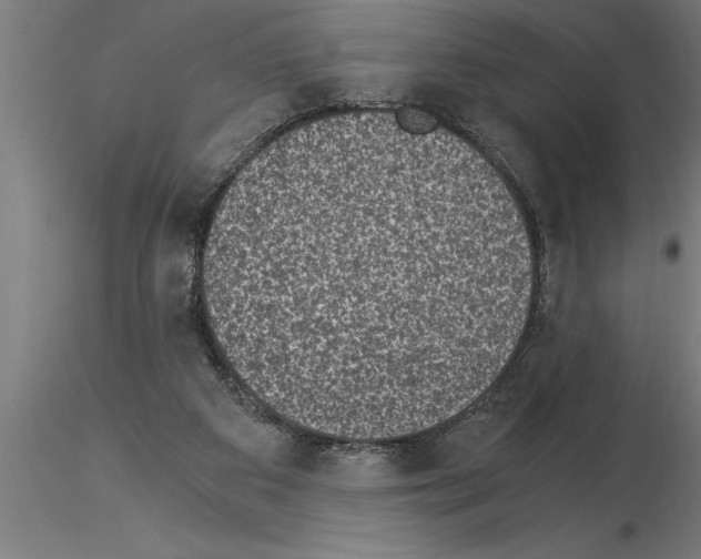 X0000115280113200912111235