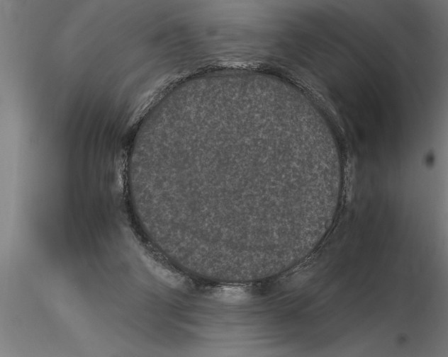 X0000115280114200912111235