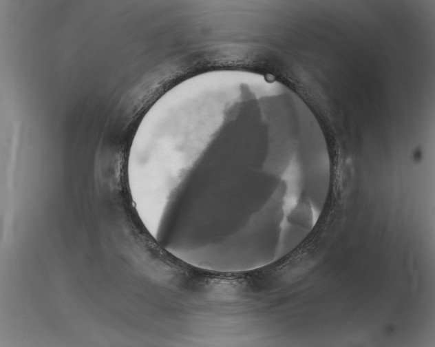 X0000115280115200912111235